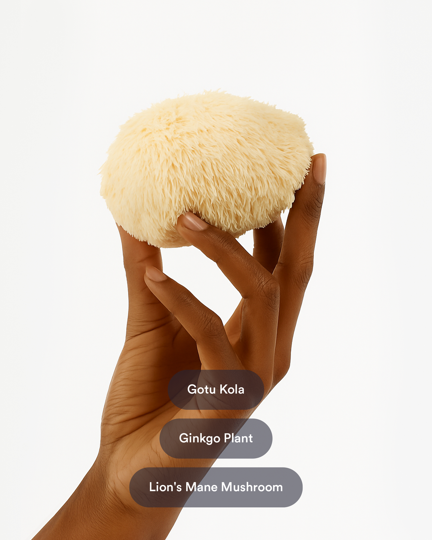 Breinkracht Pleisters