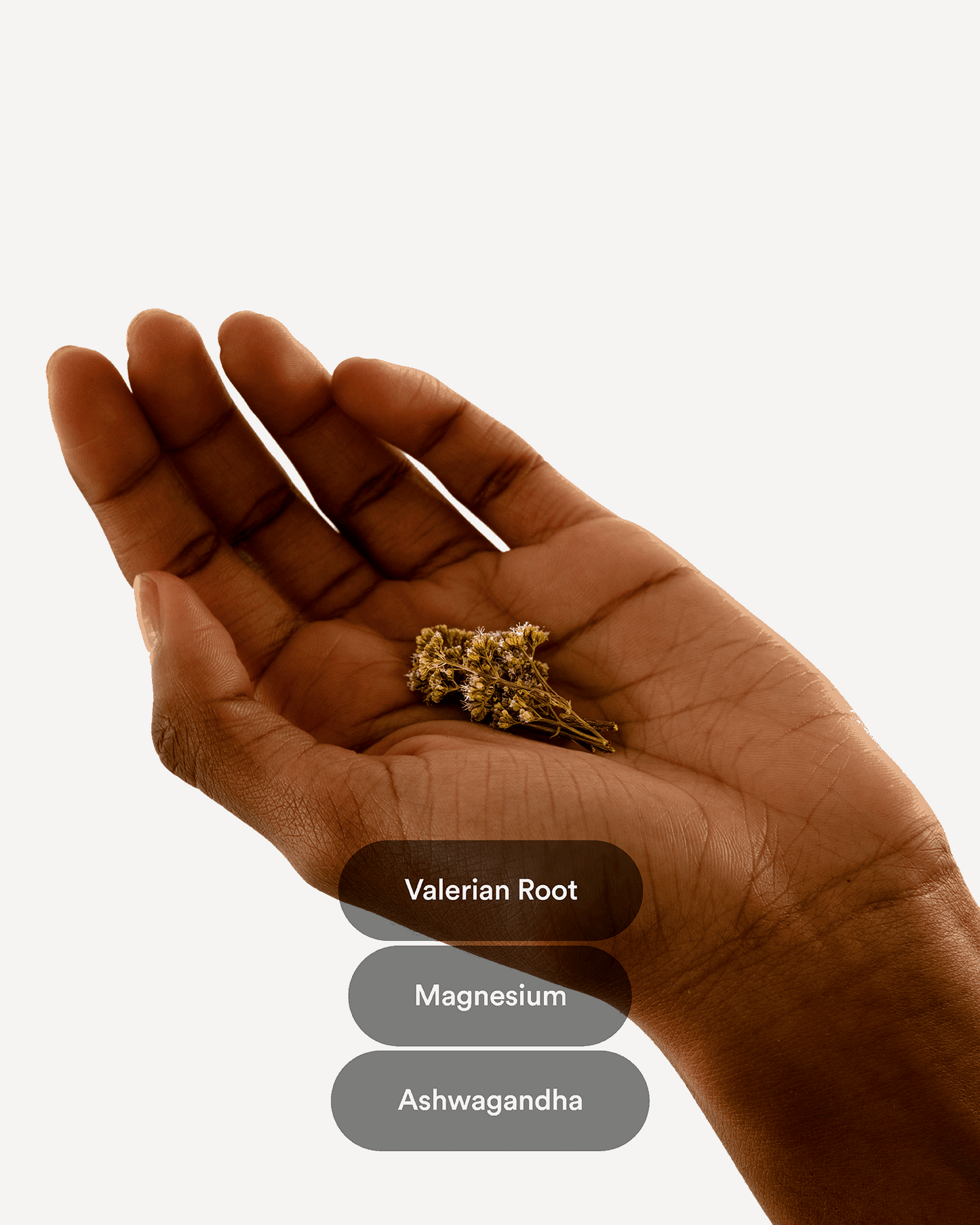 Droom Pleisters Valeriaan - Extra Sterk